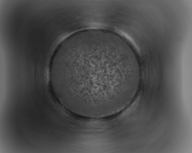 X0000093121267200710031327