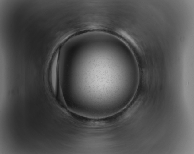 X0000093121269200710031327