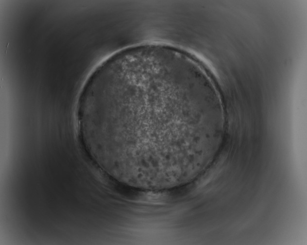 X0000093121271200710031327