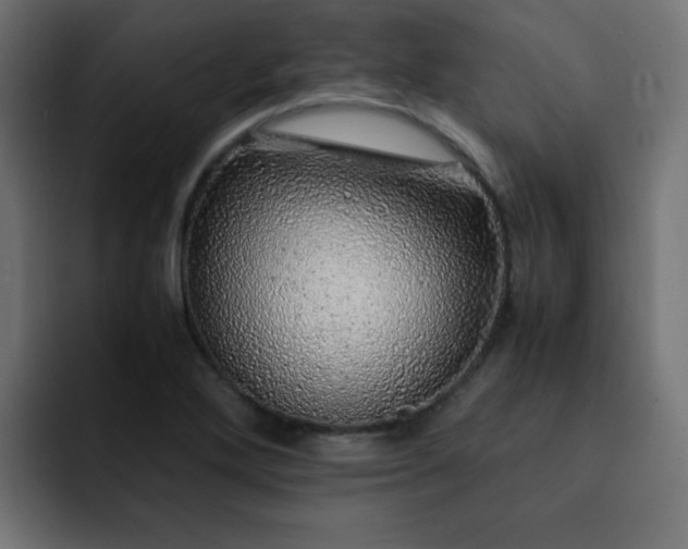 X0000093121272200710031327