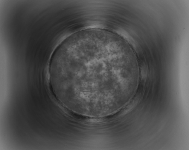 X0000093121274200710031327