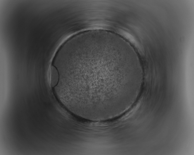 X0000093121275200710031327