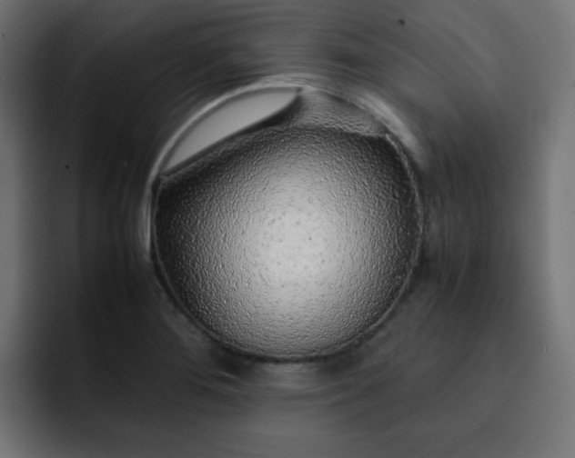 X0000093121276200710031327