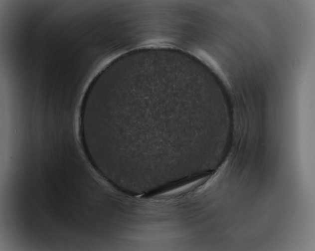 X0000093121277200710031327