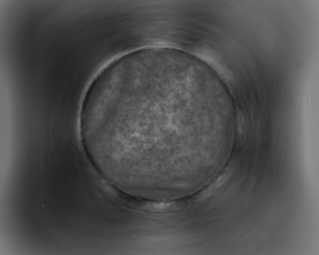 X0000093121278200710031327