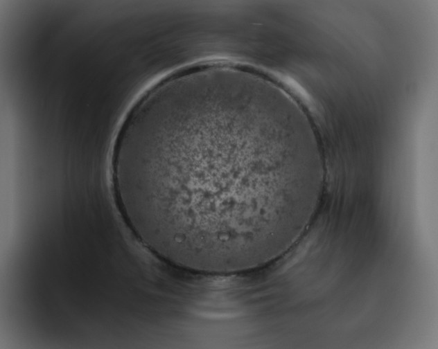 X0000093121279200710031327