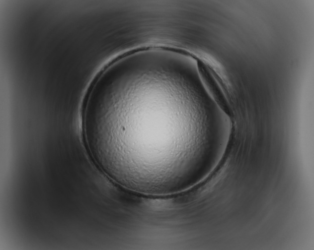 X0000093121280200710031327