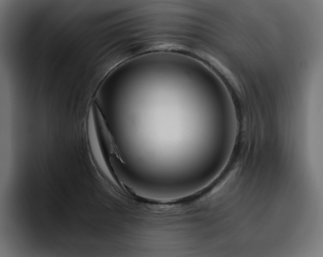 X0000093121281200710031327