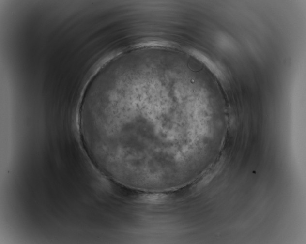 X0000093121282200710031327