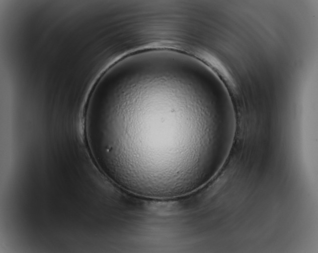 X0000093121284200710031327
