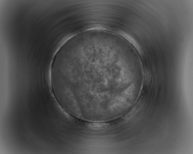 X0000093121290200710031327