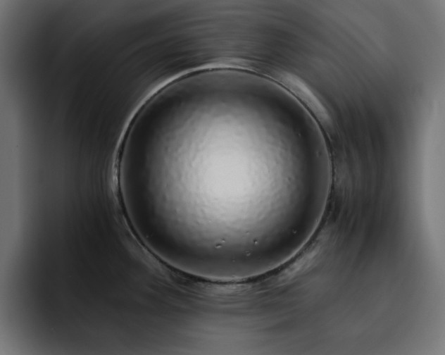 X0000093121292200710031327