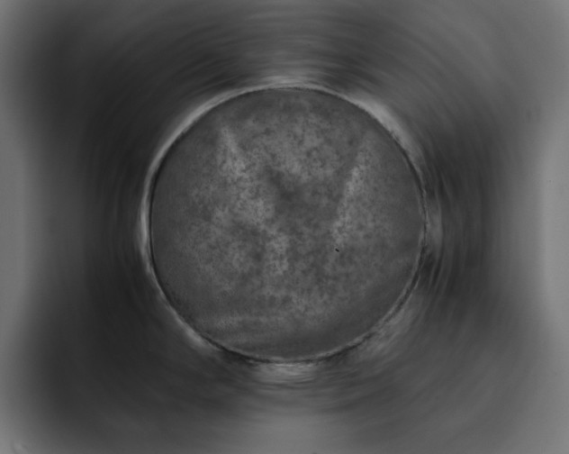 X0000093121294200710031327