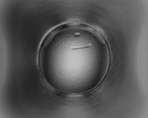 X0000093121296200710031327