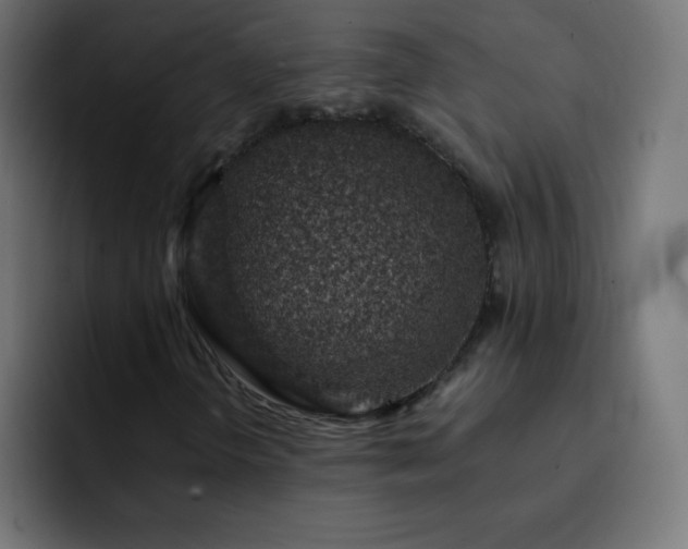 X0000093121298200710031326
