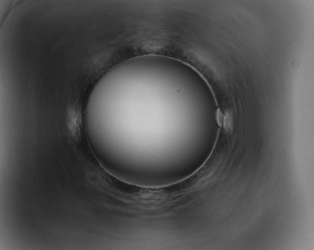 X0000093121299200710031327