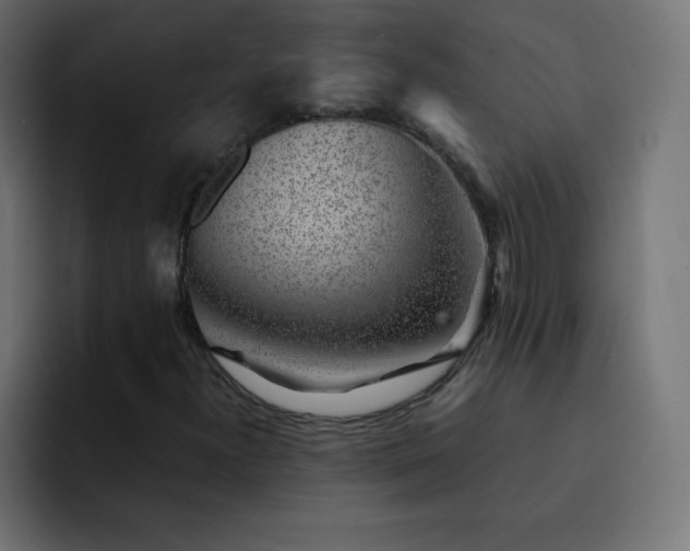 X0000093121300200710031327