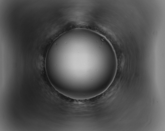 X0000093121301200710031327