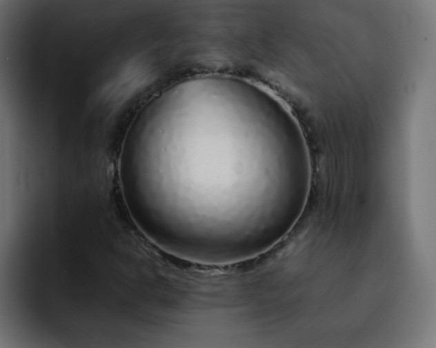 X0000093121302200710031327