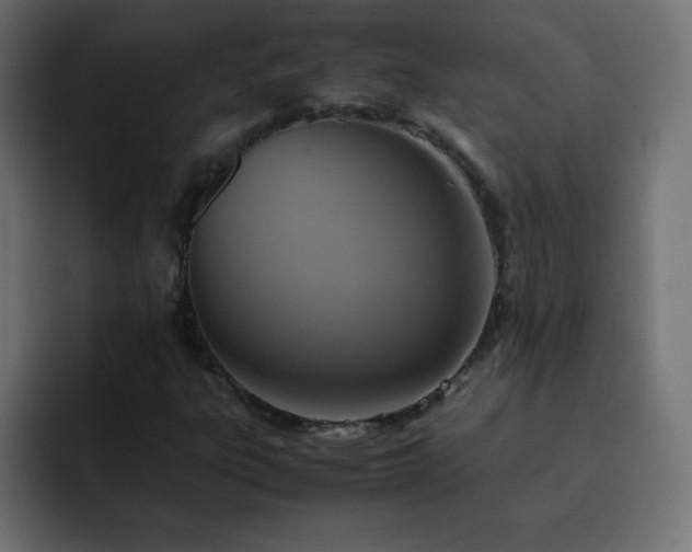 X0000093121303200710031327