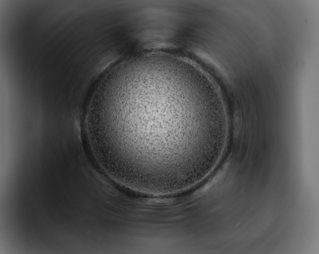 X0000093121305200710031327