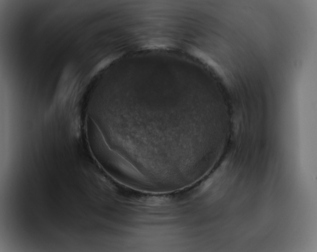 X0000093121306200710031327
