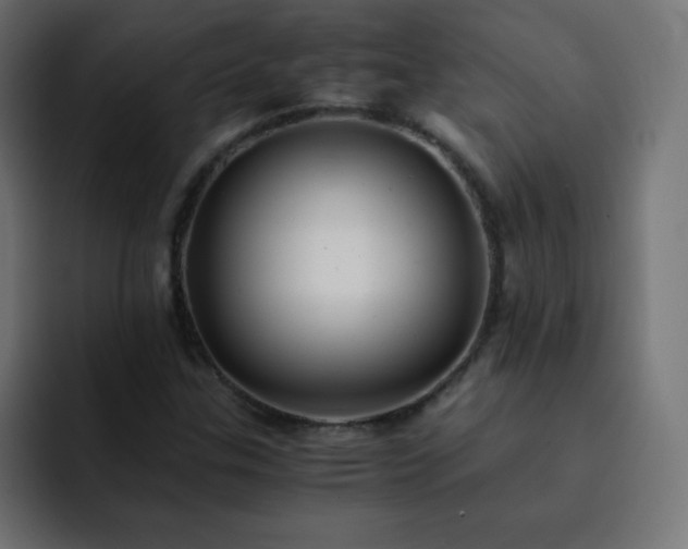 X0000093121307200710031327