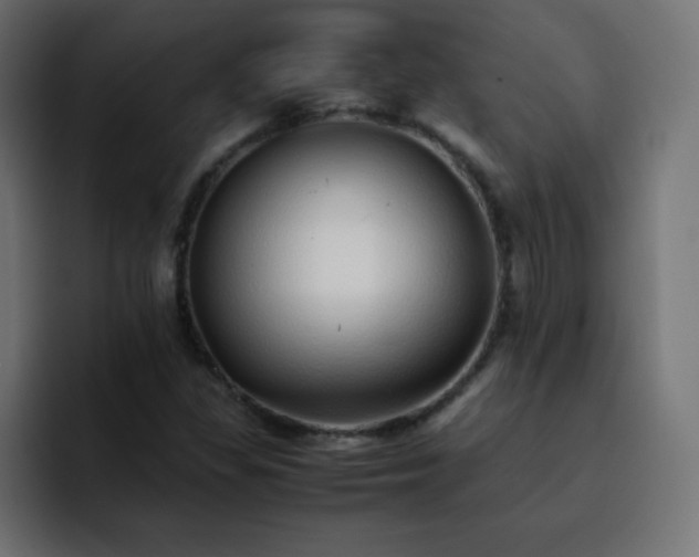 X0000093121309200710031327