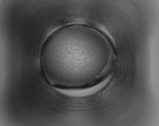 X0000093121312200710031327