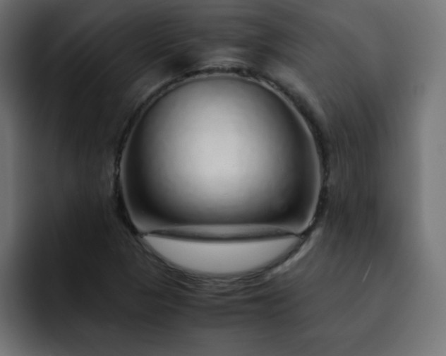 X0000093121313200710031327