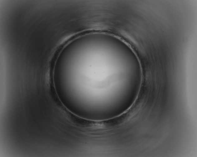 X0000093121315200710031327