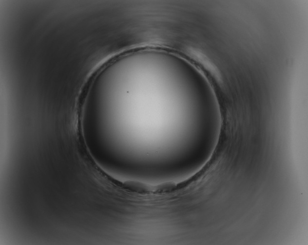 X0000093121316200710031327