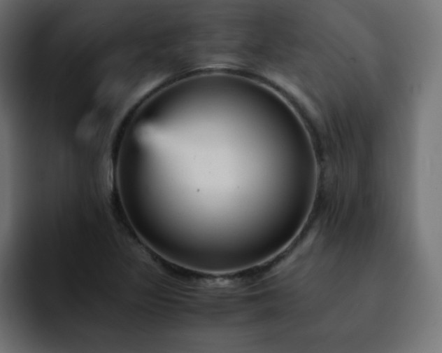 X0000093121317200710031327