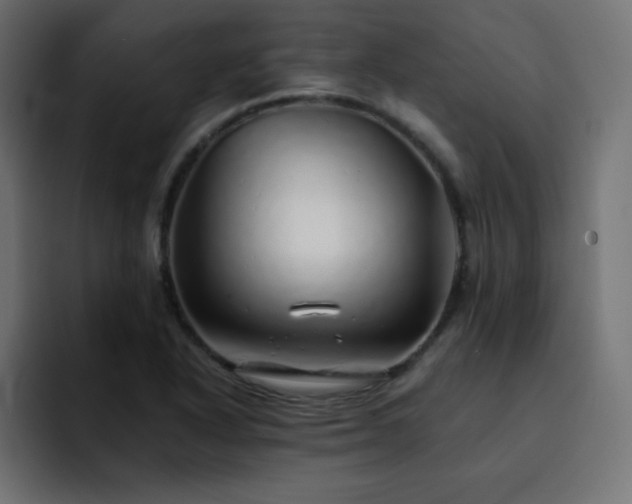 X0000093121318200710031327