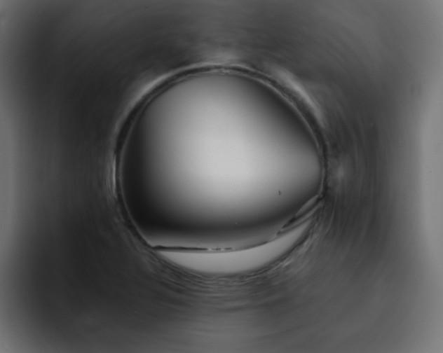 X0000093121320200710031327