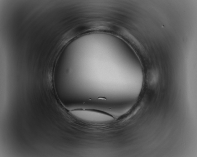 X0000093121321200710031327