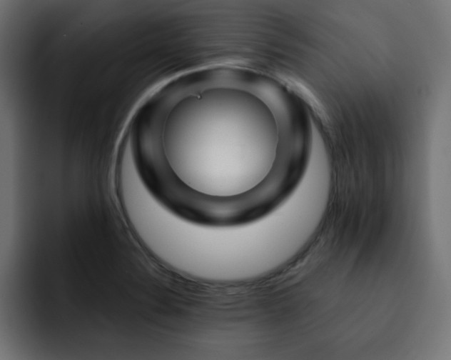 X0000093121324200710031327