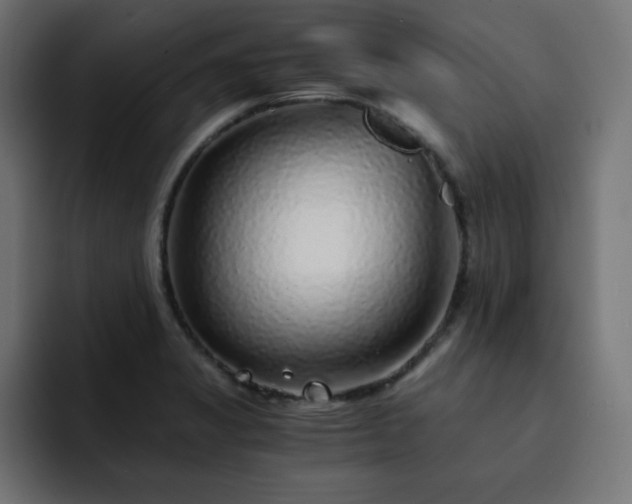 X0000093121325200710031327