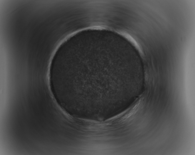 X0000093121327200710031327