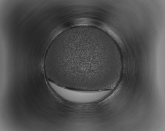 X0000093121329200710031327