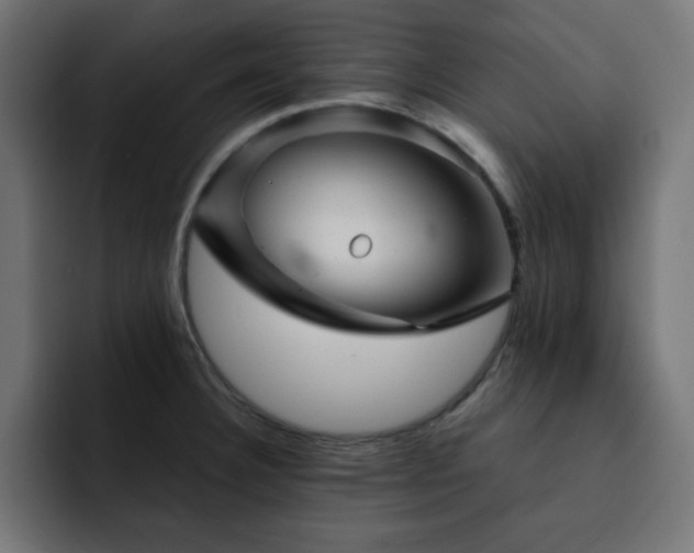 X0000093121332200710031327