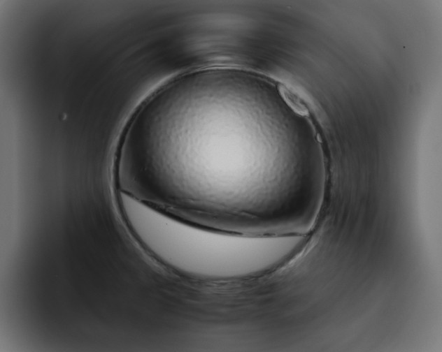 X0000093121333200710031327