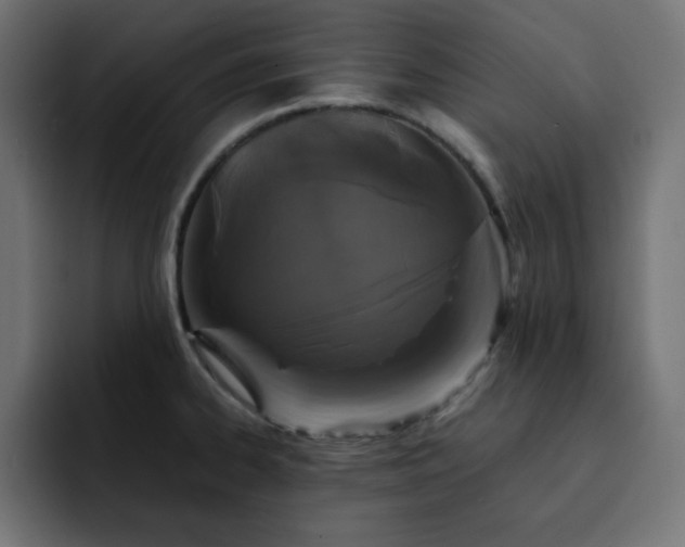 X0000093121334200710031327