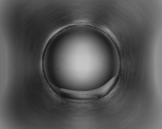 X0000093121336200710031327