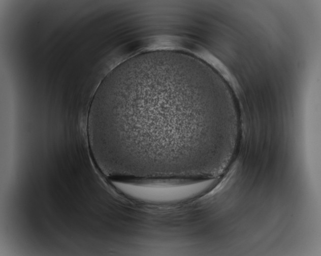 X0000093121337200710031327