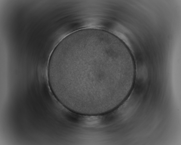 X0000093121338200710031327