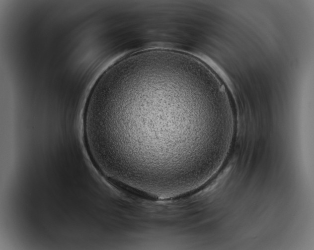 X0000093121341200710031327