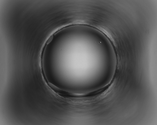 X0000093121342200710031327