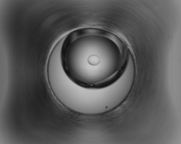 X0000093121344200710031327