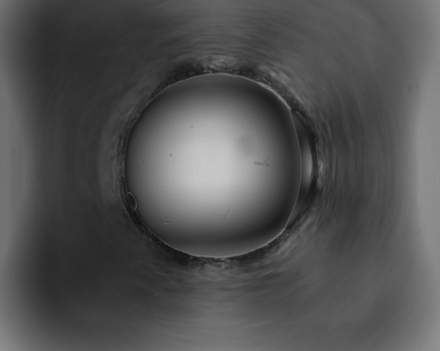 X0000093121345200710031326
